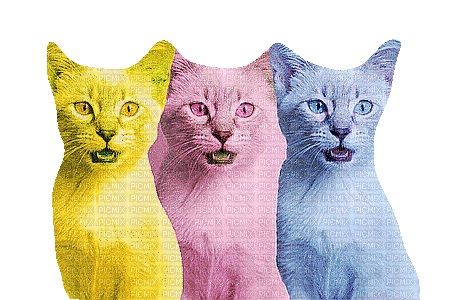 cats schlappi50 - Besplatni animirani GIF