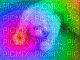 rainbow cat <3 - Bezmaksas animēts GIF