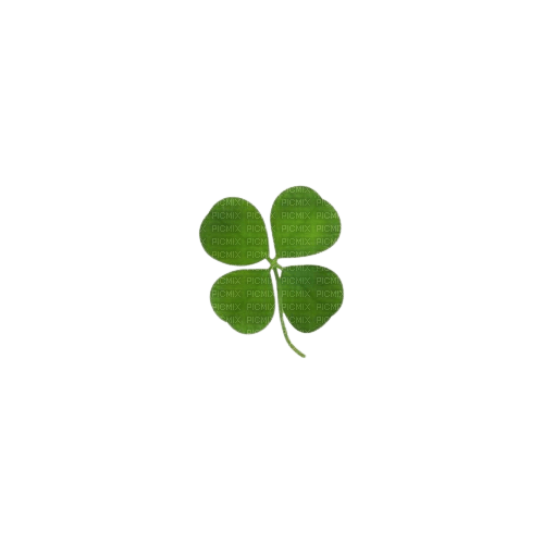 Clover small - zadarmo png