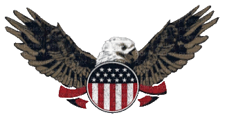 Eagle Flag 02 99999999999 - GIF animado gratis
