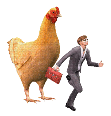 Running away from a Rooster - GIF เคลื่อนไหวฟรี