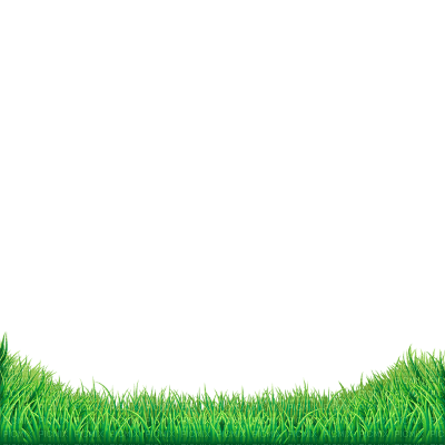 green grass - 免费PNG
