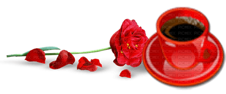 cup coffee red rose - δωρεάν png