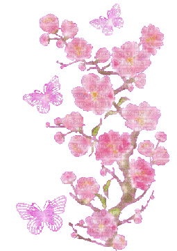 cherry blossom - Nemokamas animacinis gif