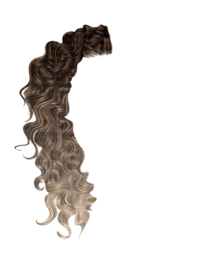 cheveux - δωρεάν png