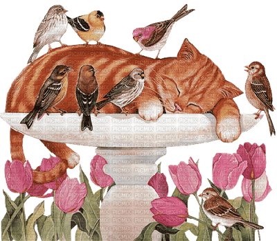 Kaz_Creations Cute Cat Birds Flowers - PNG gratuit