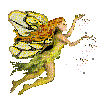 fairy - Zdarma animovaný GIF