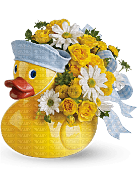 Kaz_Creations  Flowers Vase Plant Duck Baby Boy - PNG gratuit