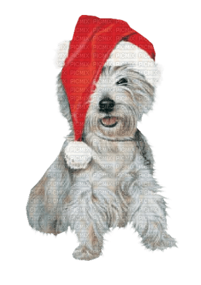 Kaz_Creations Dogs Dog Chien Noel - zdarma png