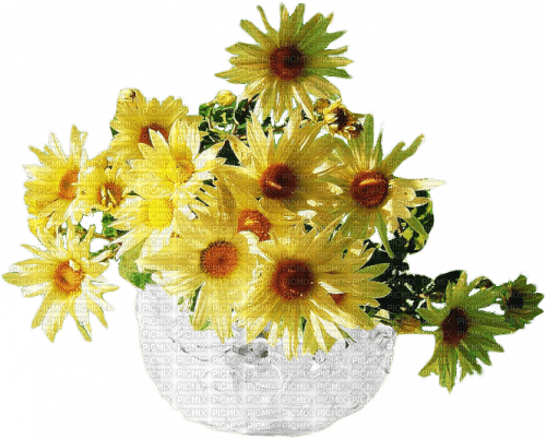 Цветы в вазе - PNG gratuit