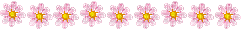 flowers katrin - 免费动画 GIF