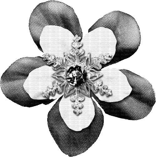 Snowflake.Flower.Black.Animated - KittyKatLuv65 - Darmowy animowany GIF