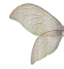 крылья - Безплатен анимиран GIF