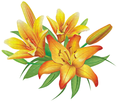 Kaz_Creations Flowers Deco Flower Colours - png grátis