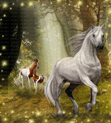 unicorn bp - 免费动画 GIF