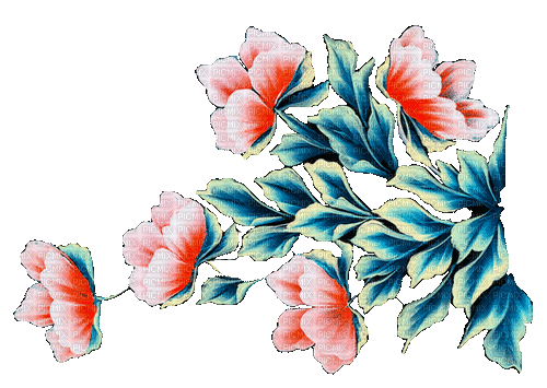 flowers gif milla1959 - Bezmaksas animēts GIF