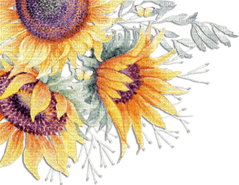 soave deco flowers corner branch spring sunflowers - PNG gratuit