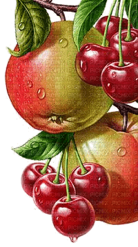 Äpfel, Kirschen - PNG gratuit