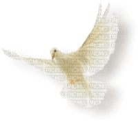 Kaz_Creations Birds Bird - png gratis