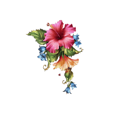 exotic flowers - png gratuito