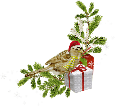 Christmas - Free PNG