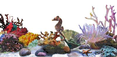 aquarium - Nitsa P - GIF animé gratuit