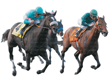 Horse Racing - бесплатно png