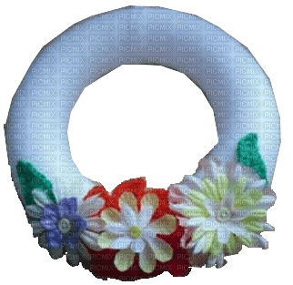 Floral Circle Frame - png ฟรี