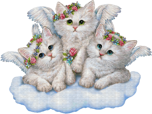 Angels.Cats.White.Blue.Pink - By KittyKatLuv65 - GIF animado gratis