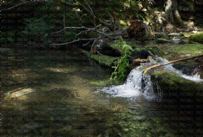 Kaz_Creations Deco Animated  Backgrounds Background - Bezmaksas animēts GIF