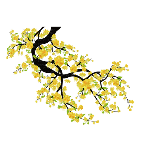 yellow flowers Bb2 - 免费PNG