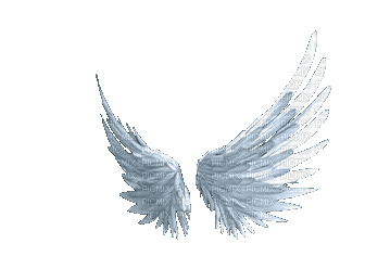 wings bp - Free animated GIF
