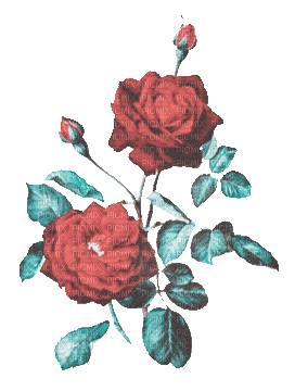 soave deco flowers rose vintage animated branch - GIF animate gratis