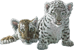 małe tygryski - Animovaný GIF zadarmo