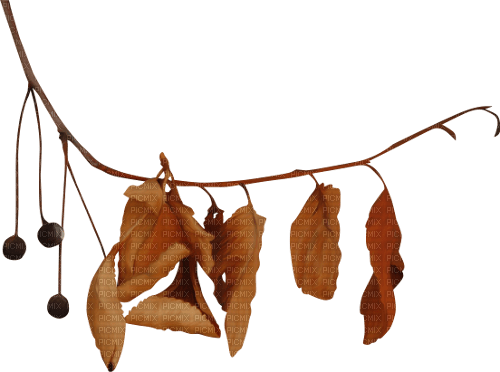 Autumn.Branch.Leaves.Automne.Victoriabea - PNG gratuit