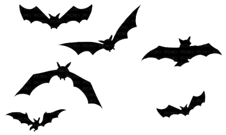 Bats.Black - 免费PNG