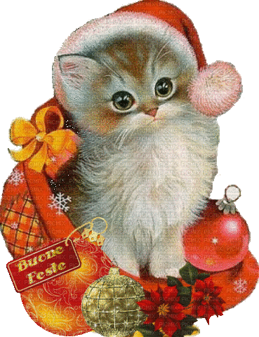 gatto natalizio - Animovaný GIF zadarmo