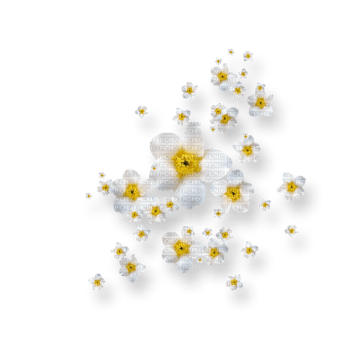 deco  flores dubravka4 - 免费PNG