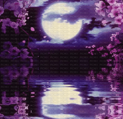 purple pink moon animated - GIF animé gratuit