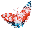 soave deco butterfly scrap blue orange - PNG gratuit