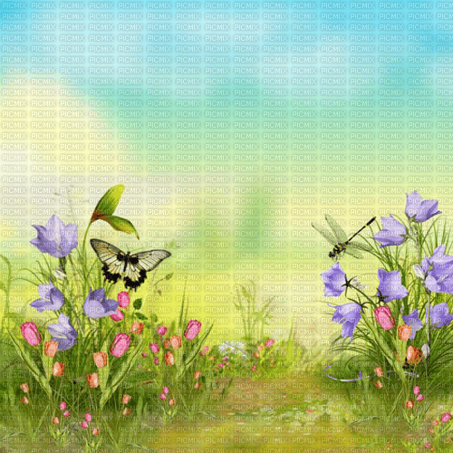 Y.A.M._Summer background - 免费PNG