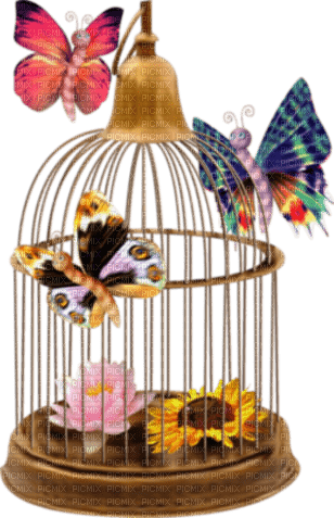 Cage.Butterfly.Papillon.jaula.Victoriabea - PNG gratuit