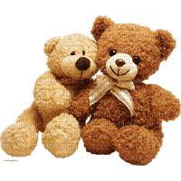 toys bear - bezmaksas png