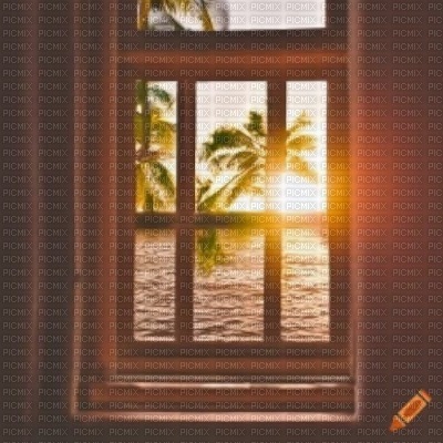 Palm Trees Window - PNG gratuit