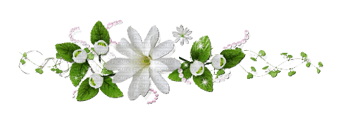 maj fleurs - Free PNG