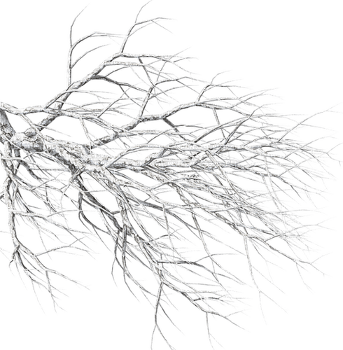 winter tree  by nataliplus - Free PNG