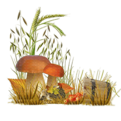 Herbst, Pilze, Fall - ilmainen png