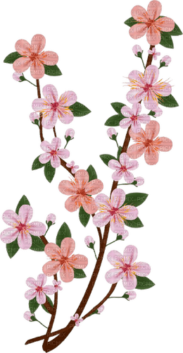spring flowers - PNG gratuit