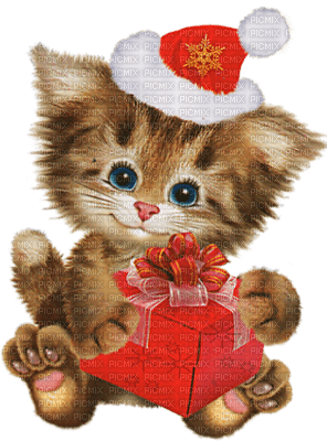 chat noel cat christmas - безплатен png