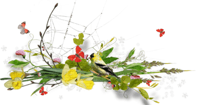 patymirabelle fleurs - gratis png